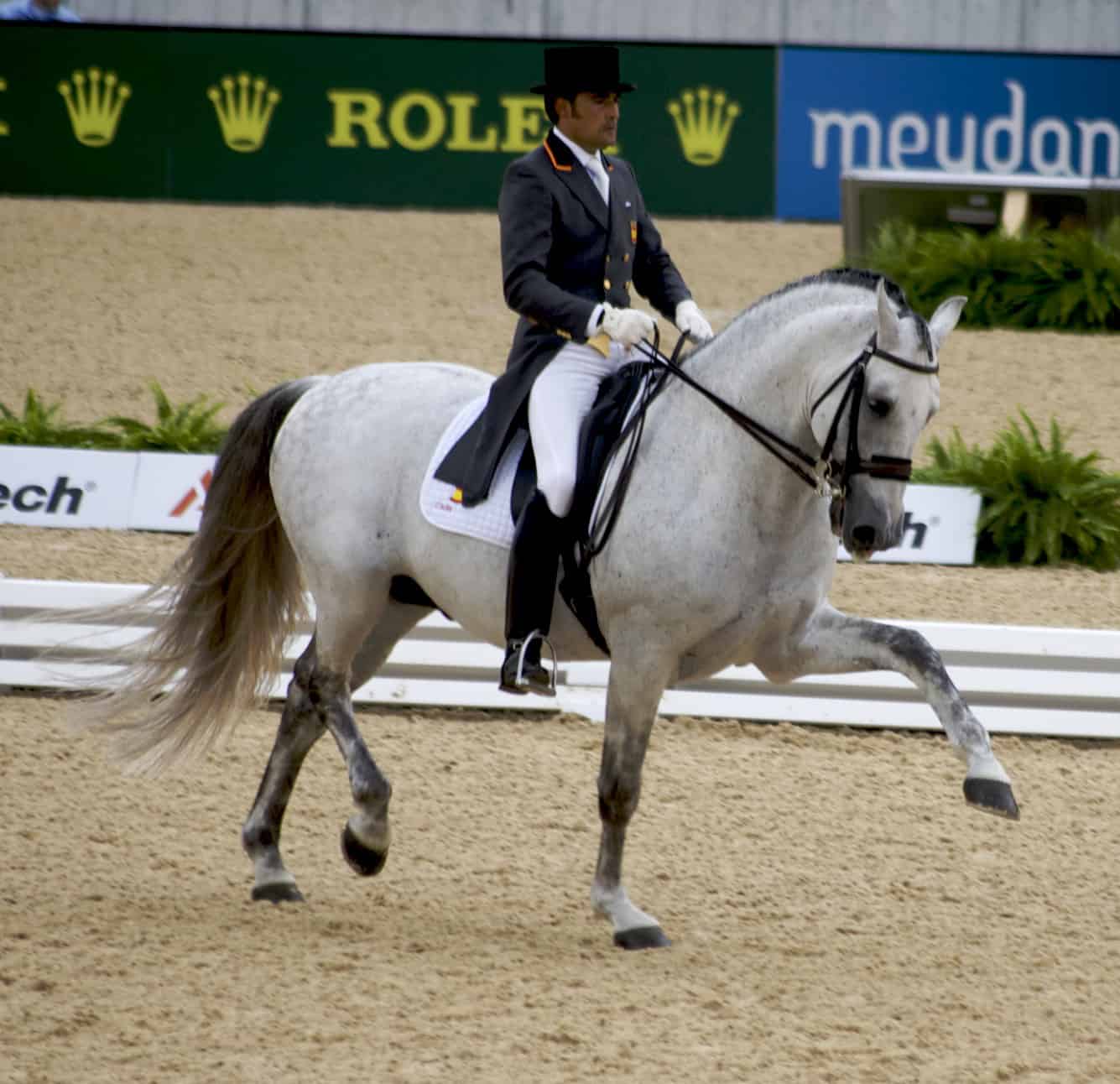 2010 World Equestrian Games ME Engineers 2010 World Equestrian Games ME Engineers